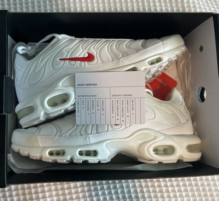 Supreme Nike Air Max Plus Sz 10 5