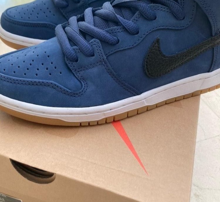 Nike Sb Dunk Pro Iso New