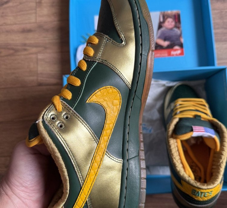 Nike Sb Dunk Pro Low Doernbecher 2018 - Bv8740-377