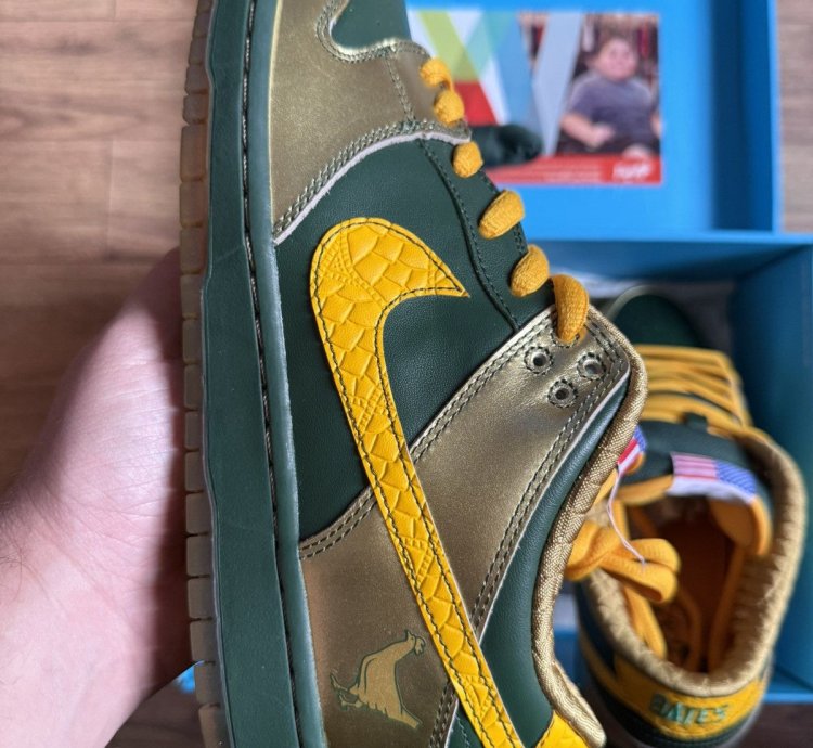 Nike Sb Dunk Pro Low Doernbecher 2018 - Bv8740-377