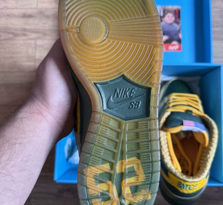 Nike Sb Dunk Pro Low Doernbecher 2018 - Bv8740-377