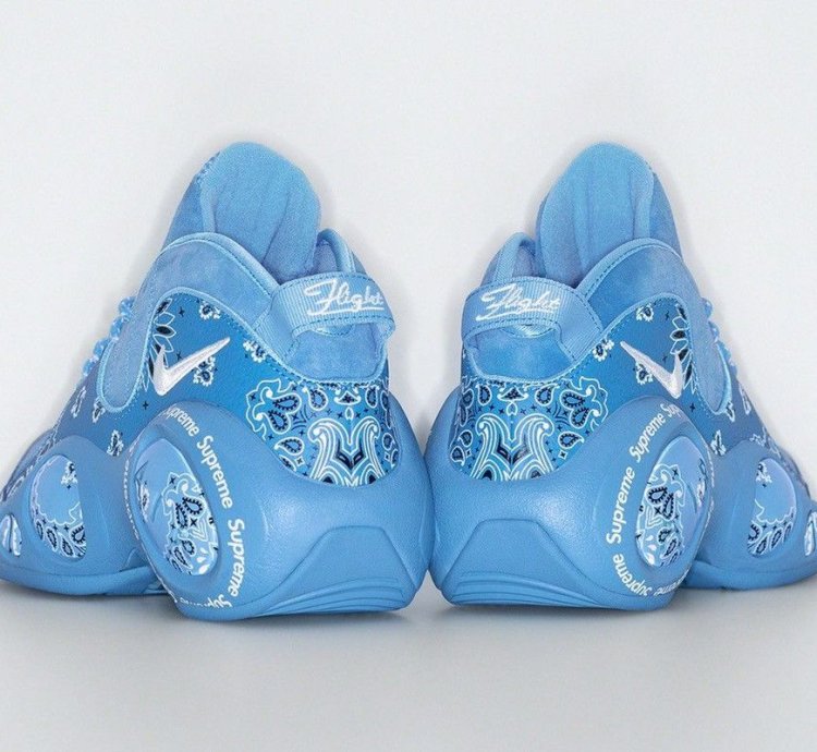 Supreme Nike Air Zoom Flight 95