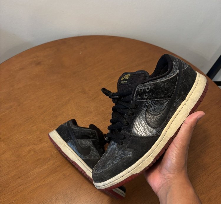 Nike Sb Dunk Snake Eyes