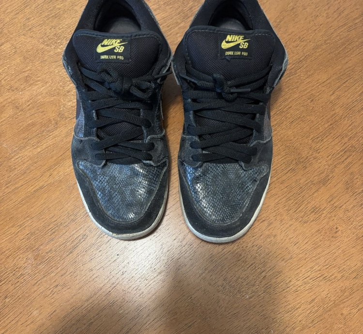 Nike Sb Dunk Snake Eyes