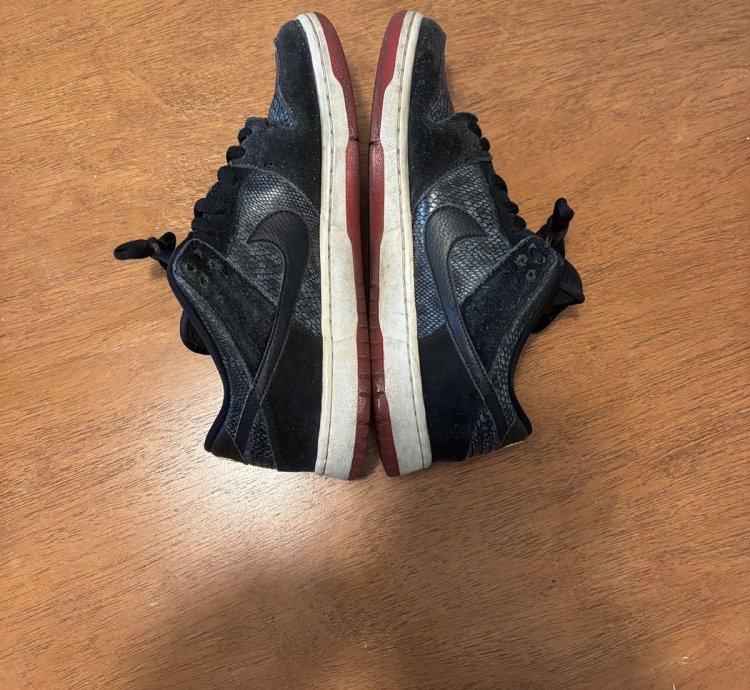 Nike Sb Dunk Snake Eyes