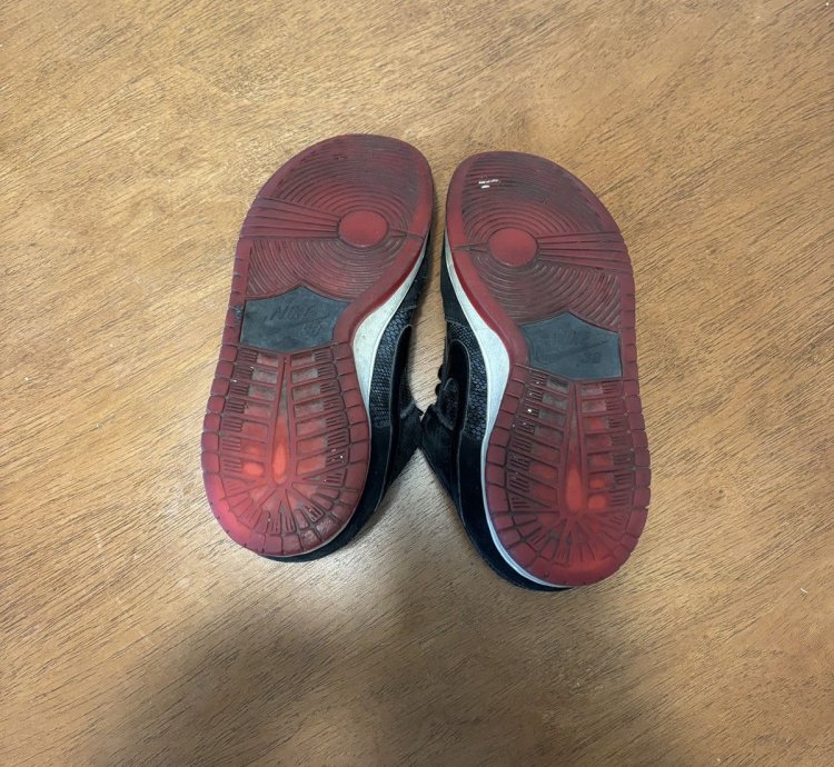 Nike Sb Dunk Snake Eyes