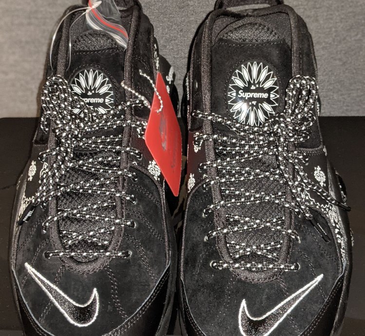 Supreme Nike Air Zoom Flight 95 Sp