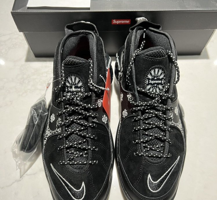 Supreme Nike Air Zoom Flight 95 Sp Black