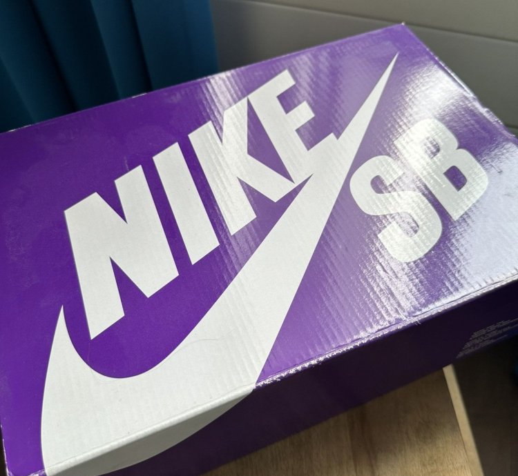 Nike Sb Dunk Why So Sad