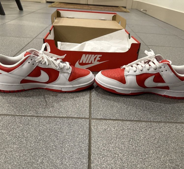 Nike Sb Dunks University Reds Barely Worn