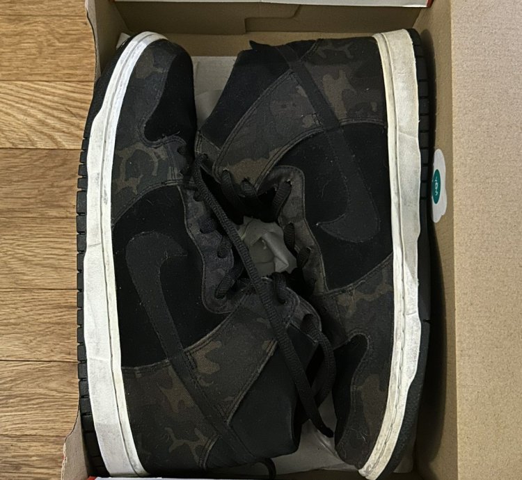 Nike Sb Iguana Camo Size 13