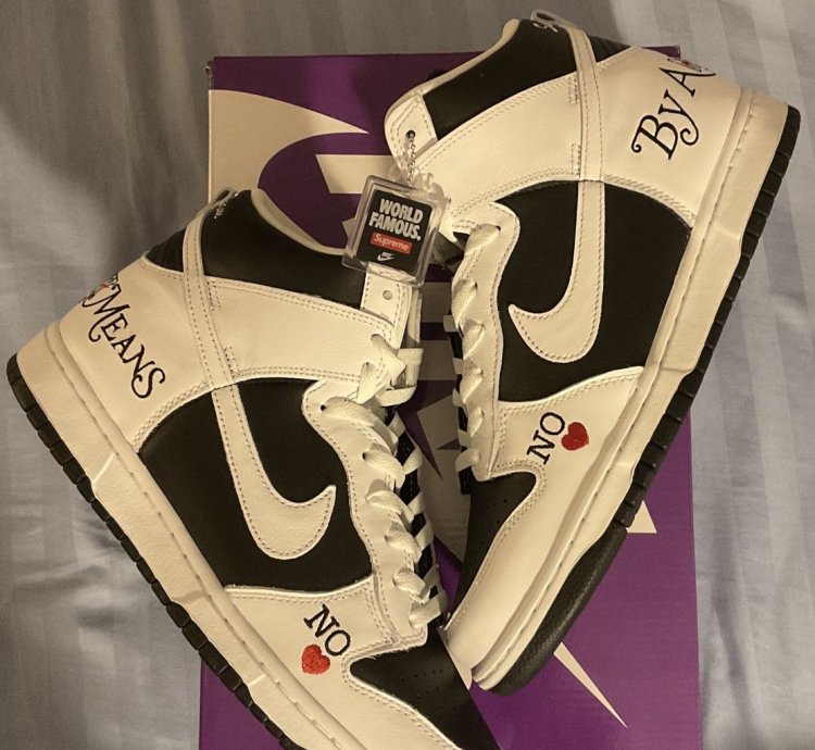 Supreme Nike Dunk High By Any Means Size 10