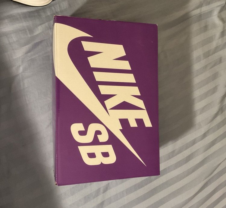 Supreme Nike Dunk High By Any Means Size 10