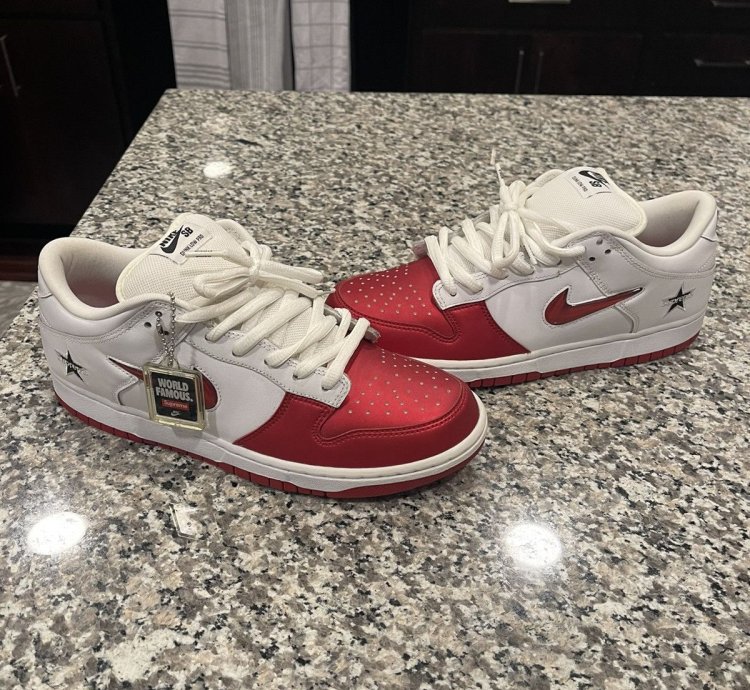 Supreme Nike Dunk Low Pro
