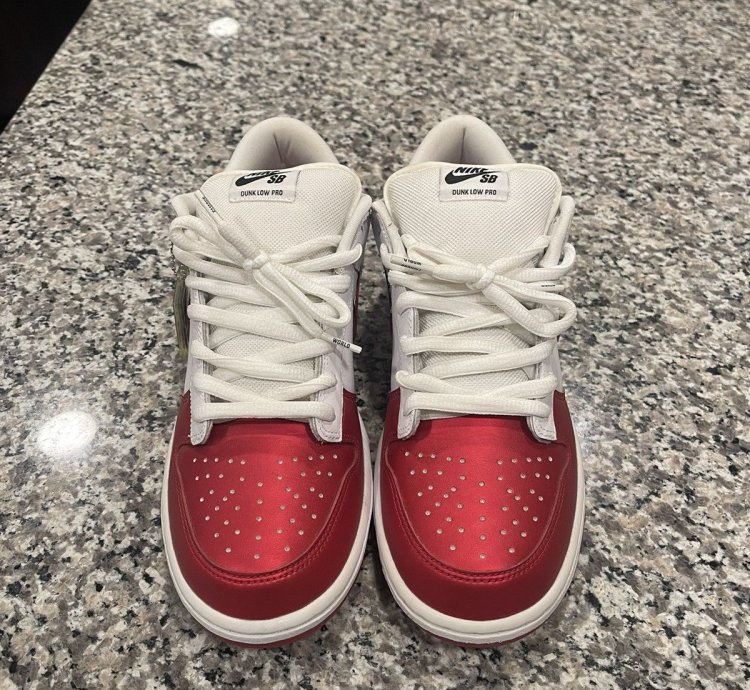 Supreme Nike Dunk Low Pro