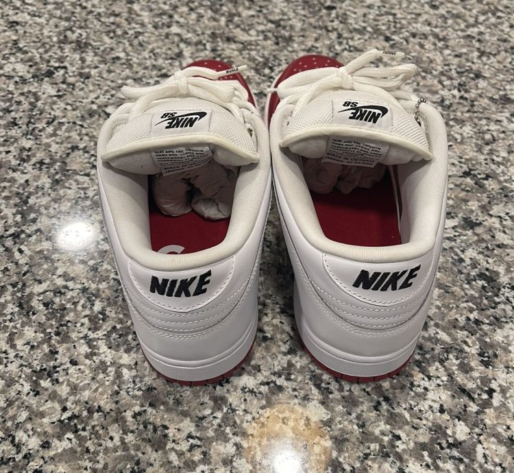 Supreme Nike Dunk Low Pro