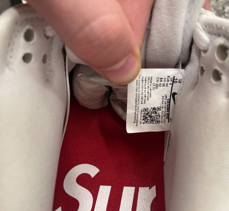 Supreme Nike Dunk Low Pro