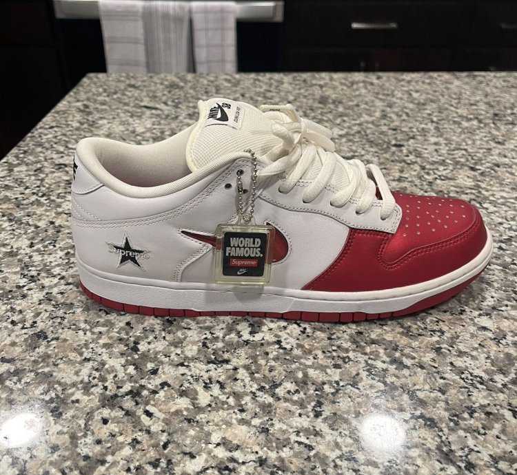 Supreme Nike Dunk Low Pro