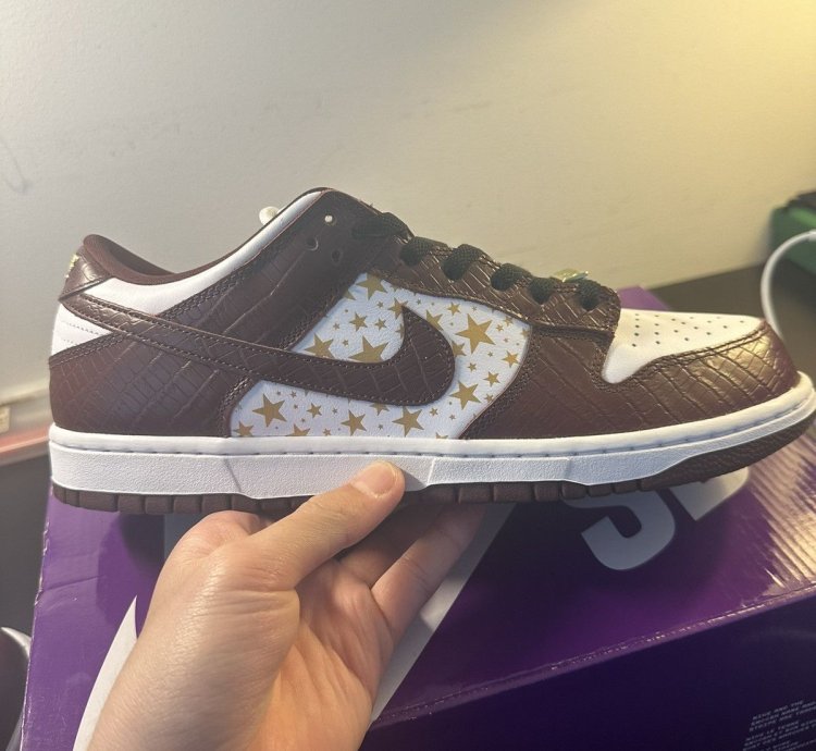 Supreme Nike Dunk Sb