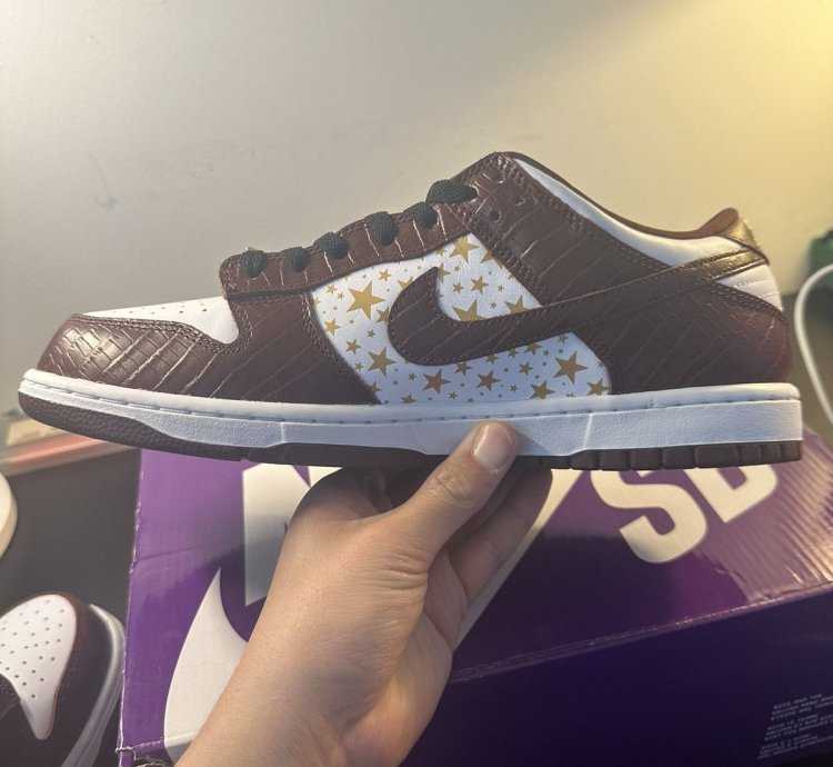 Supreme Nike Dunk Sb