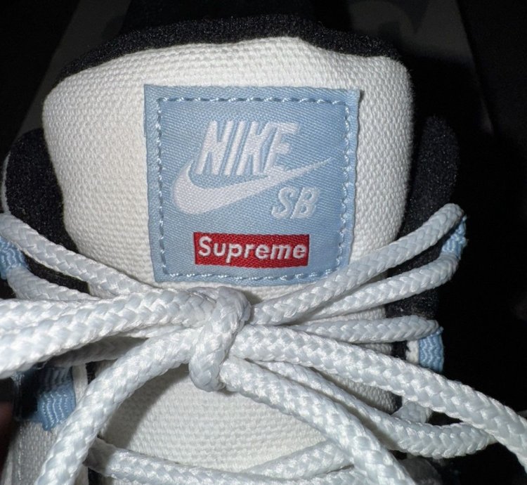 Nike Sb Supreme Darwin Low
