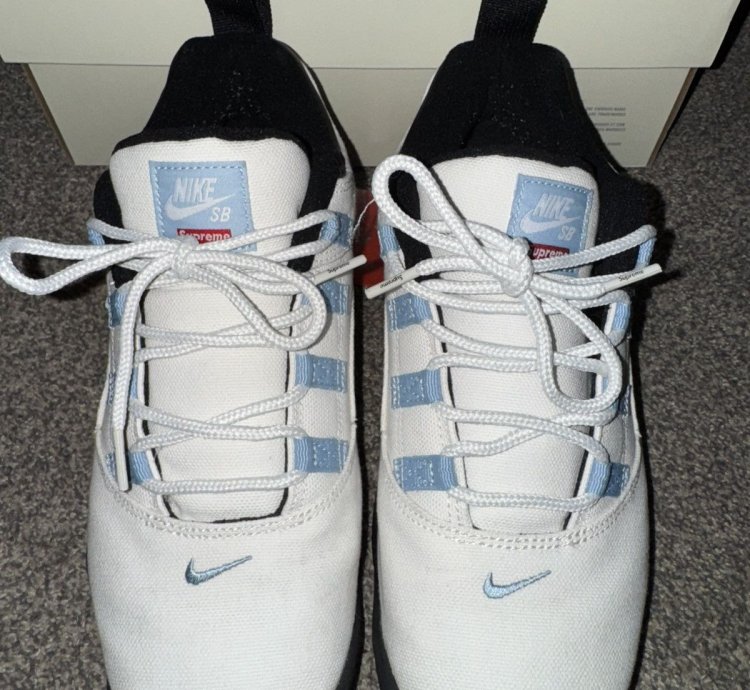 Nike Sb Supreme Darwin Low