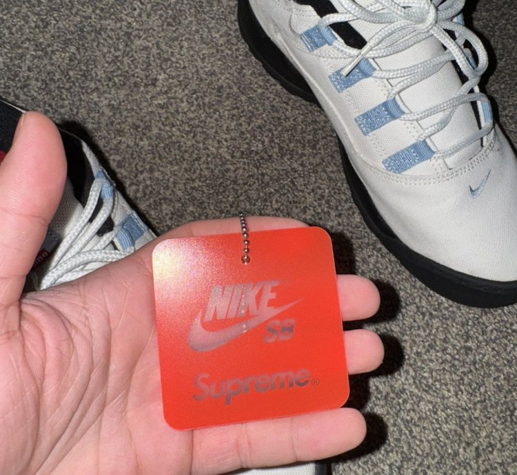 Nike Sb Supreme Darwin Low