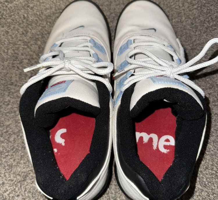 Nike Sb Supreme Darwin Low