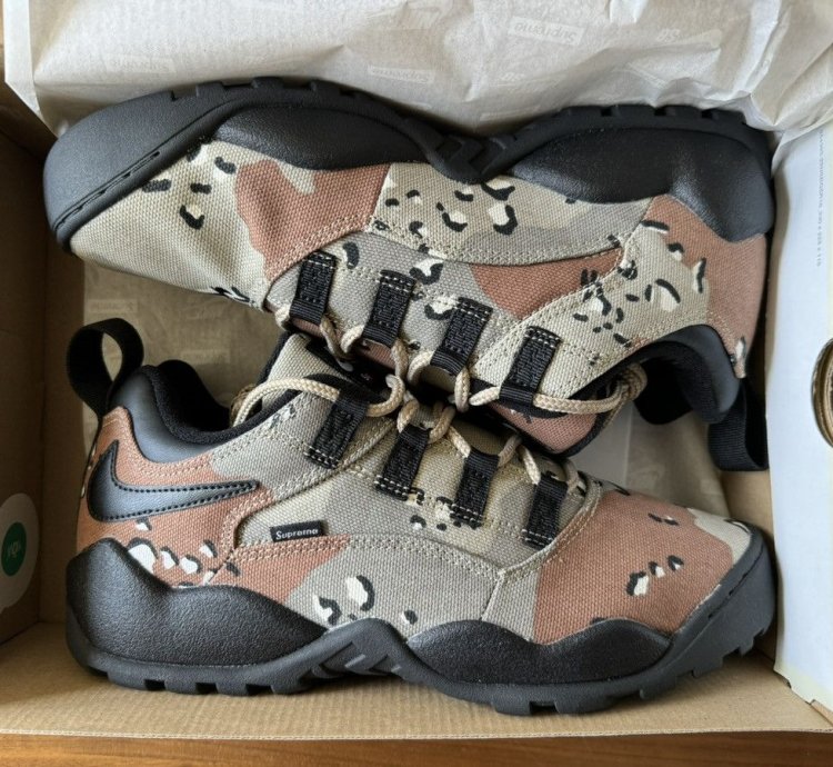 Supreme Nike Sb Darwin Low Desert Camo Size 9 5 In Hand