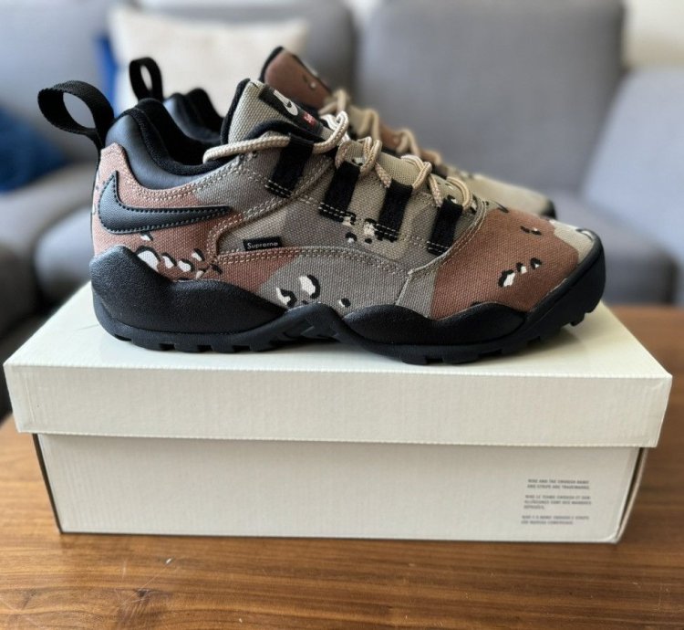 Supreme Nike Sb Darwin Low Desert Camo Size 9 5 In Hand