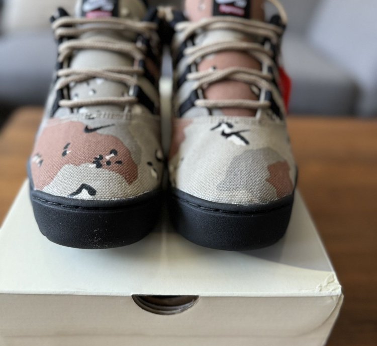 Supreme Nike Sb Darwin Low Desert Camo Size 9 5 In Hand