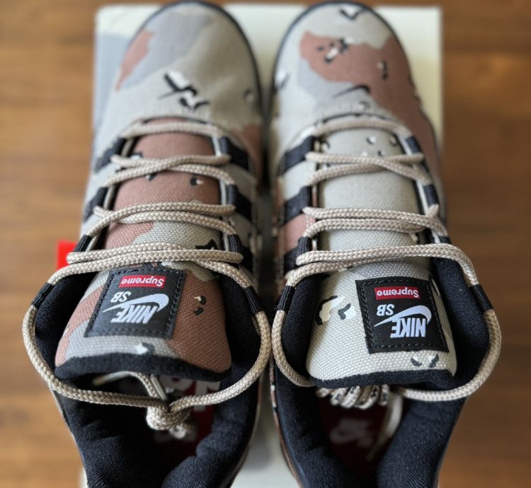 Supreme Nike Sb Darwin Low Desert Camo Size 9 5 In Hand