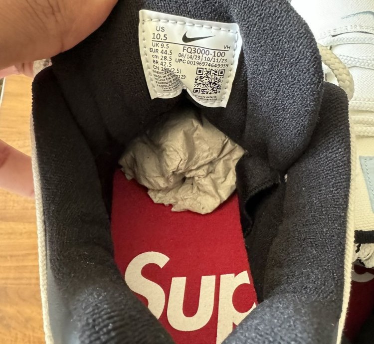 Supreme Nike Sb Darwin Low Sail Size 10 5 In Hand