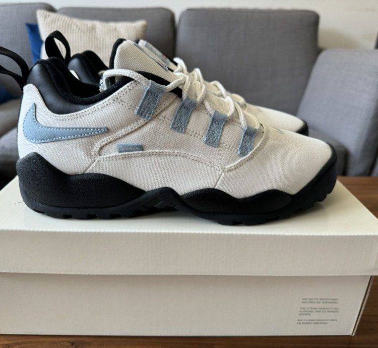 Supreme Nike Sb Darwin Low Sail Size 10 5 In Hand