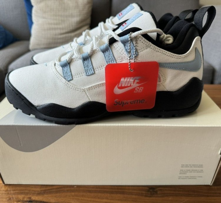 Supreme Nike Sb Darwin Low Sail Size 10 5 In Hand