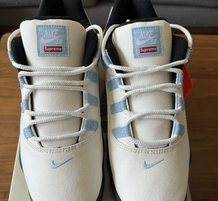 Supreme Nike Sb Darwin Low Sail Size 10 5 In Hand