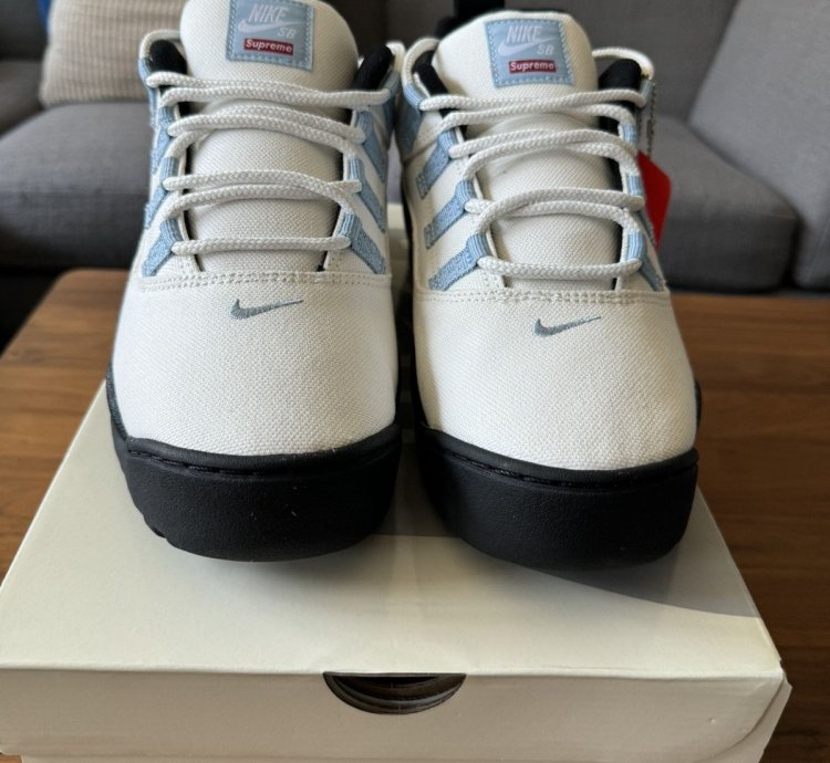 Supreme Nike Sb Darwin Low Sail Size 10 5 In Hand