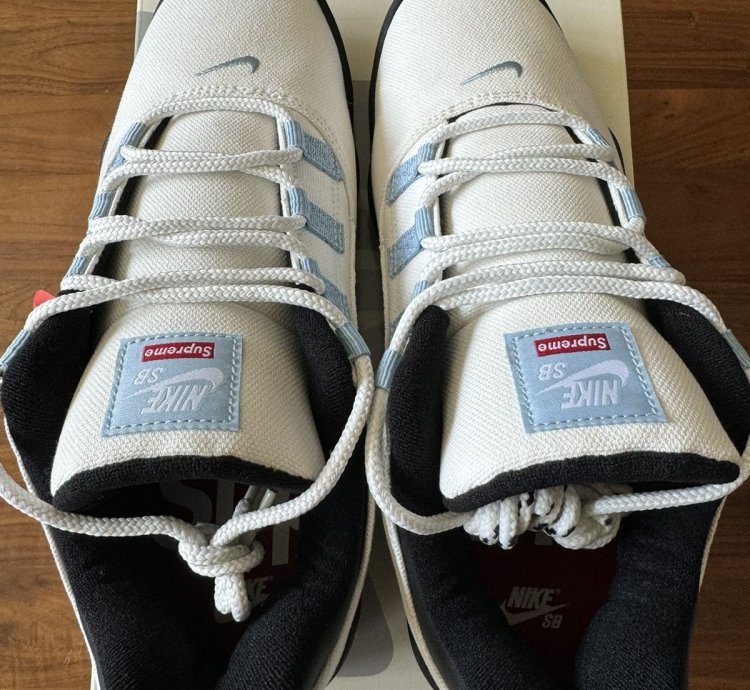 Supreme Nike Sb Darwin Low Sail Size 10 5 In Hand