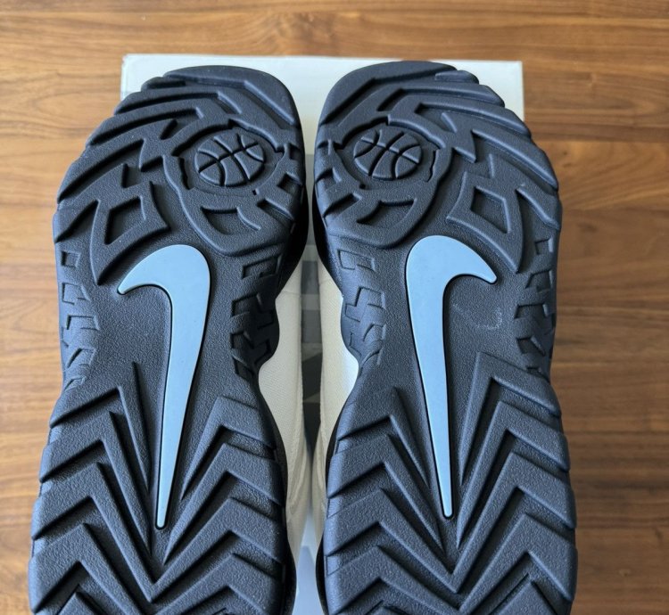 Supreme Nike Sb Darwin Low Sail Size 10 5 In Hand