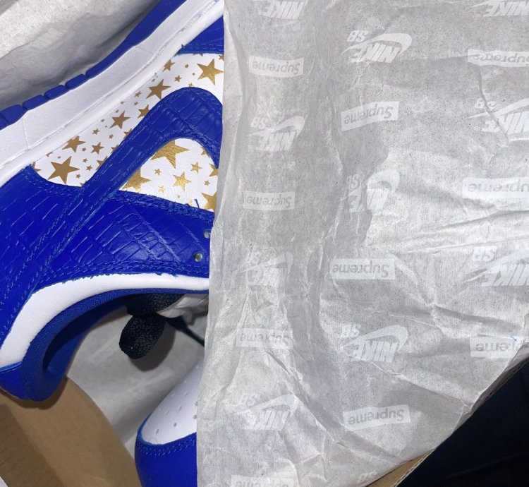 Supreme Nike Sb Dunk