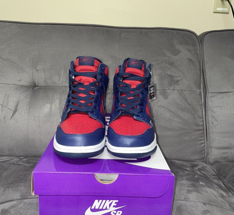 Supreme Nike Sb Dunk High By Any Means