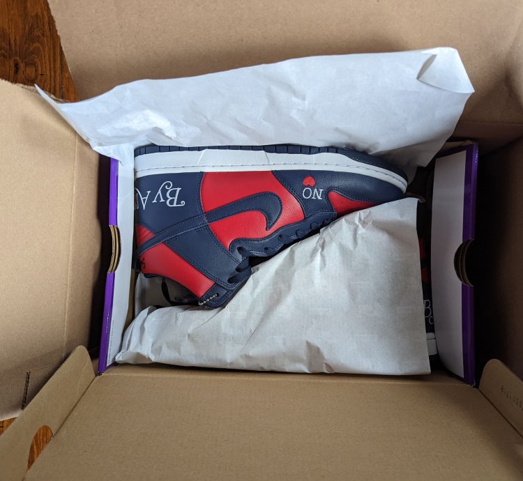 Supreme Nike Sb Dunk High By Any Means Size 10