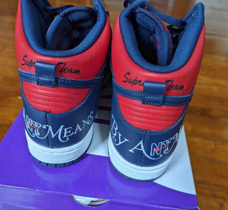 Supreme Nike Sb Dunk High By Any Means Size 10