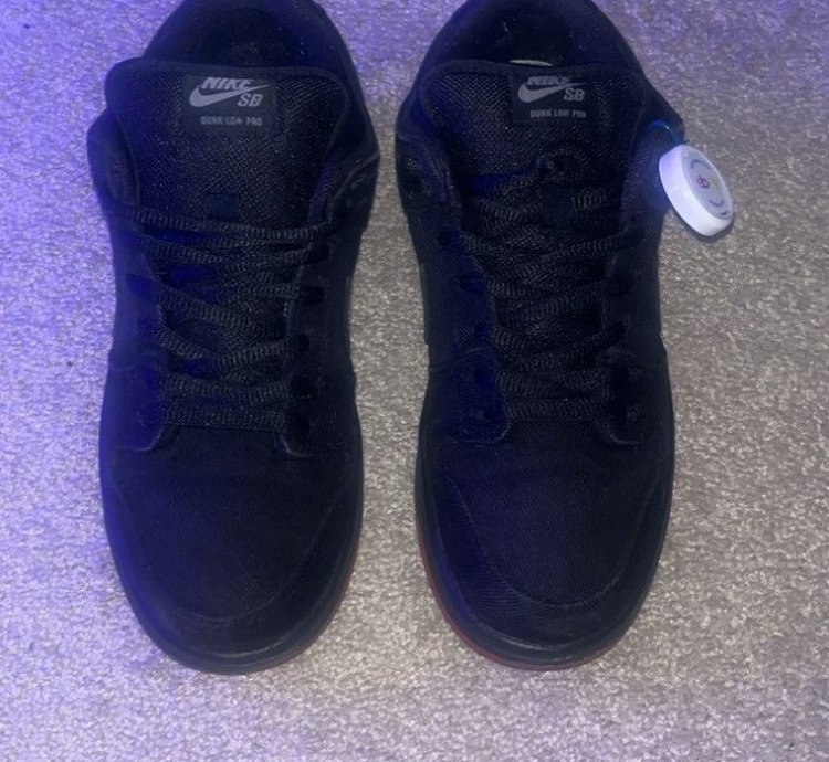 Rare Dunk Low Premium Sb Levi