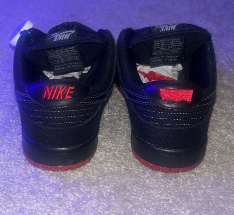 Rare Dunk Low Premium Sb Levi