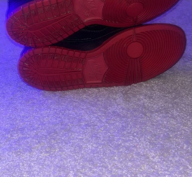 Rare Dunk Low Premium Sb Levi