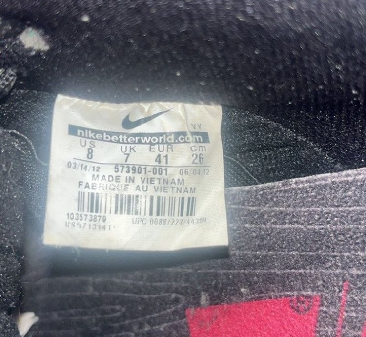Rare Dunk Low Premium Sb Levi
