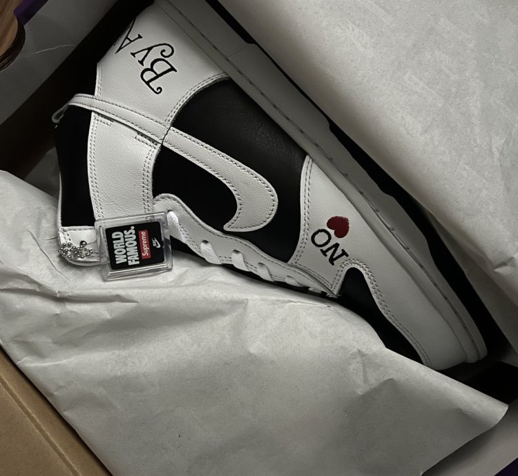 Supreme Nike Sb Dunk High By Any Means Size 10 5