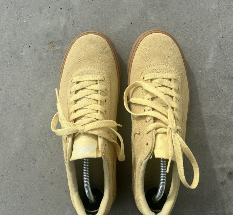Rare Nike Sb Blazer Low Sneakers