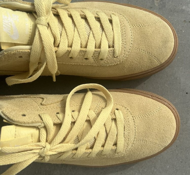 Rare Nike Sb Blazer Low Sneakers